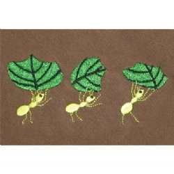 Hooded Blanket - with Leafcutter Ants Embroidery (teak)