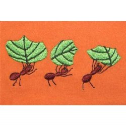 Hooded Blanket - with Leafcutter Ants Embroidery (kumquat)