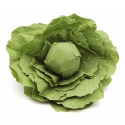 Erzi Lettuce