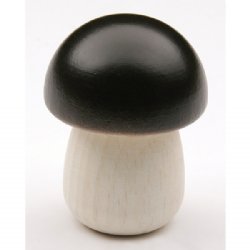 Erzi Birch Boletus Mushroom