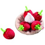 HABA Biofino Strawberry Tartlet