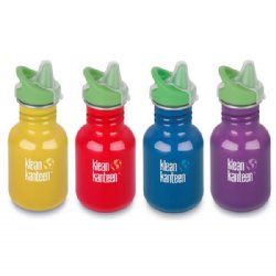 Kid Kanteen Color Stainless Steel Sippy Bottle (12 oz)
