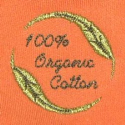Baby T-shirt - with Leafcutter Ants Embroidery (kumquat)