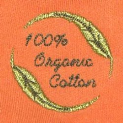 Baby T-shirt - with Wheat Embroidery (kumquat)