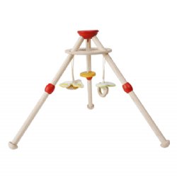 Plan Toys Activity Baby Gym